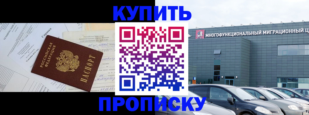 временная регистрация госуслуги в Приозерске